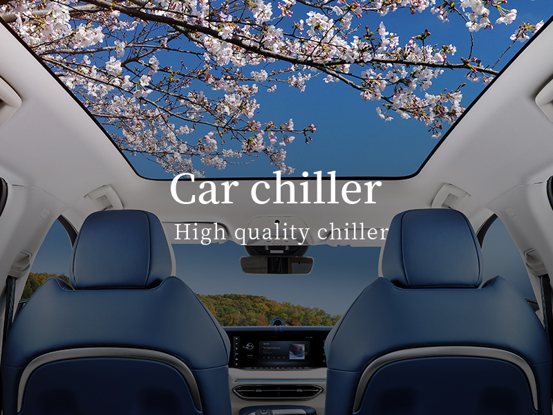 Car chiller